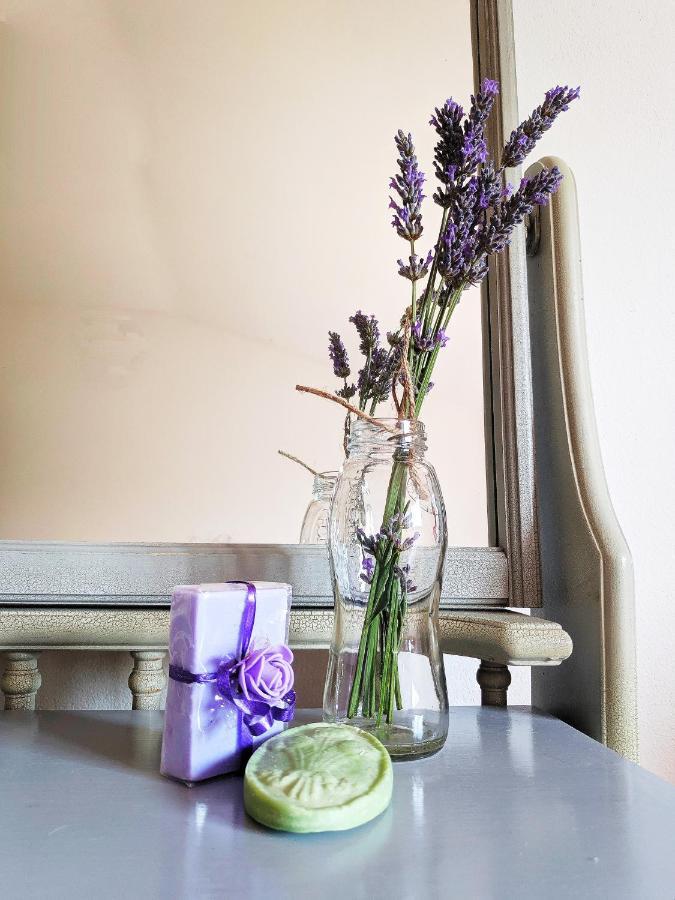Apartment Soline Pjescana Uvala Εξωτερικό φωτογραφία