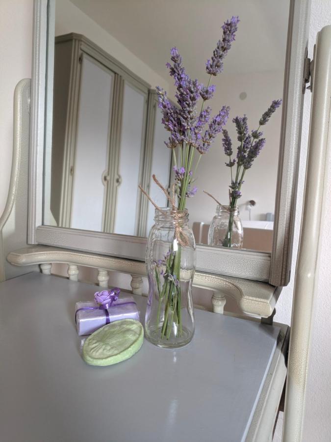 Apartment Soline Pjescana Uvala Εξωτερικό φωτογραφία