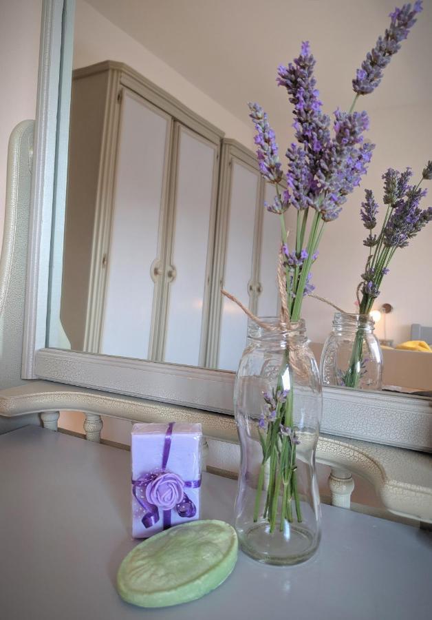 Apartment Soline Pjescana Uvala Εξωτερικό φωτογραφία